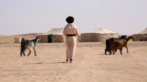 الوضع الإنساني في اليمن