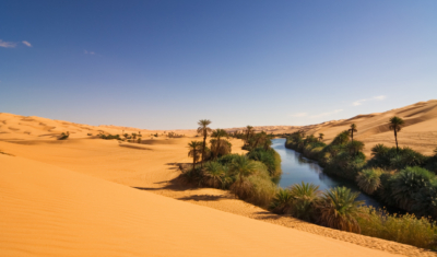 صحراء الجزيرة العربية