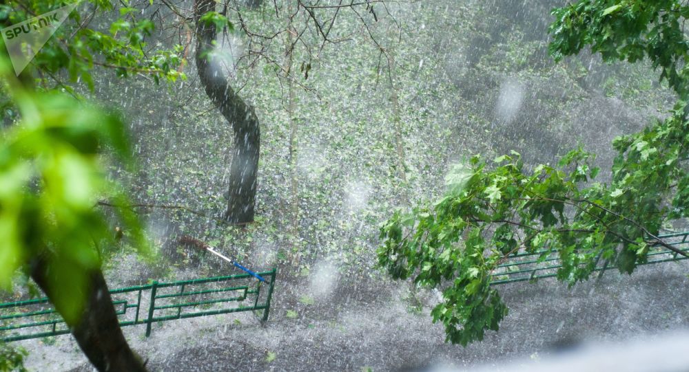 ��� �� ��������