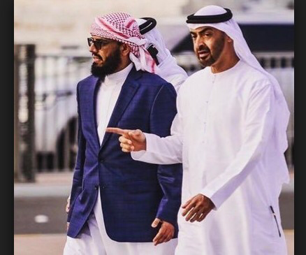 محمد بن زايد