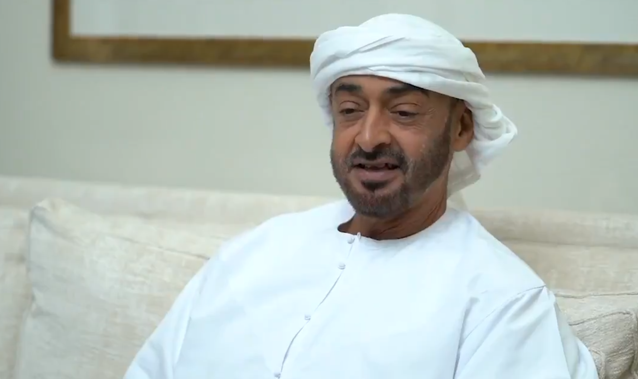 محمد بن زايد