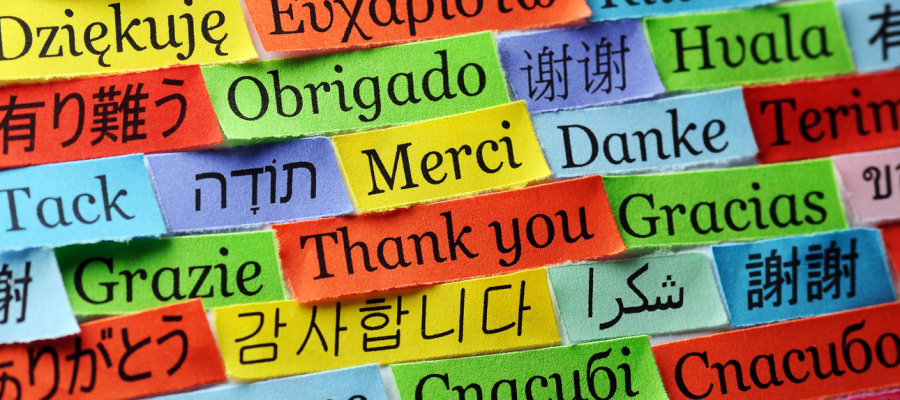  الهدف من اليوم العالمي للغة الأم هو تعزيز التعليم من أجل المواطنة العالمية/ Istock 