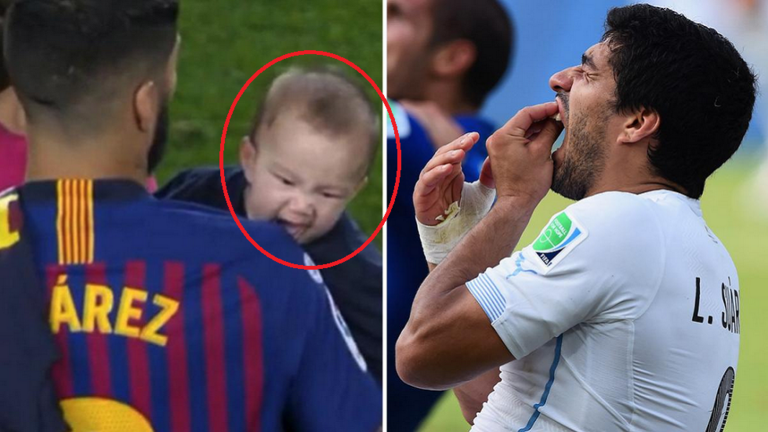 ���� ������ ������